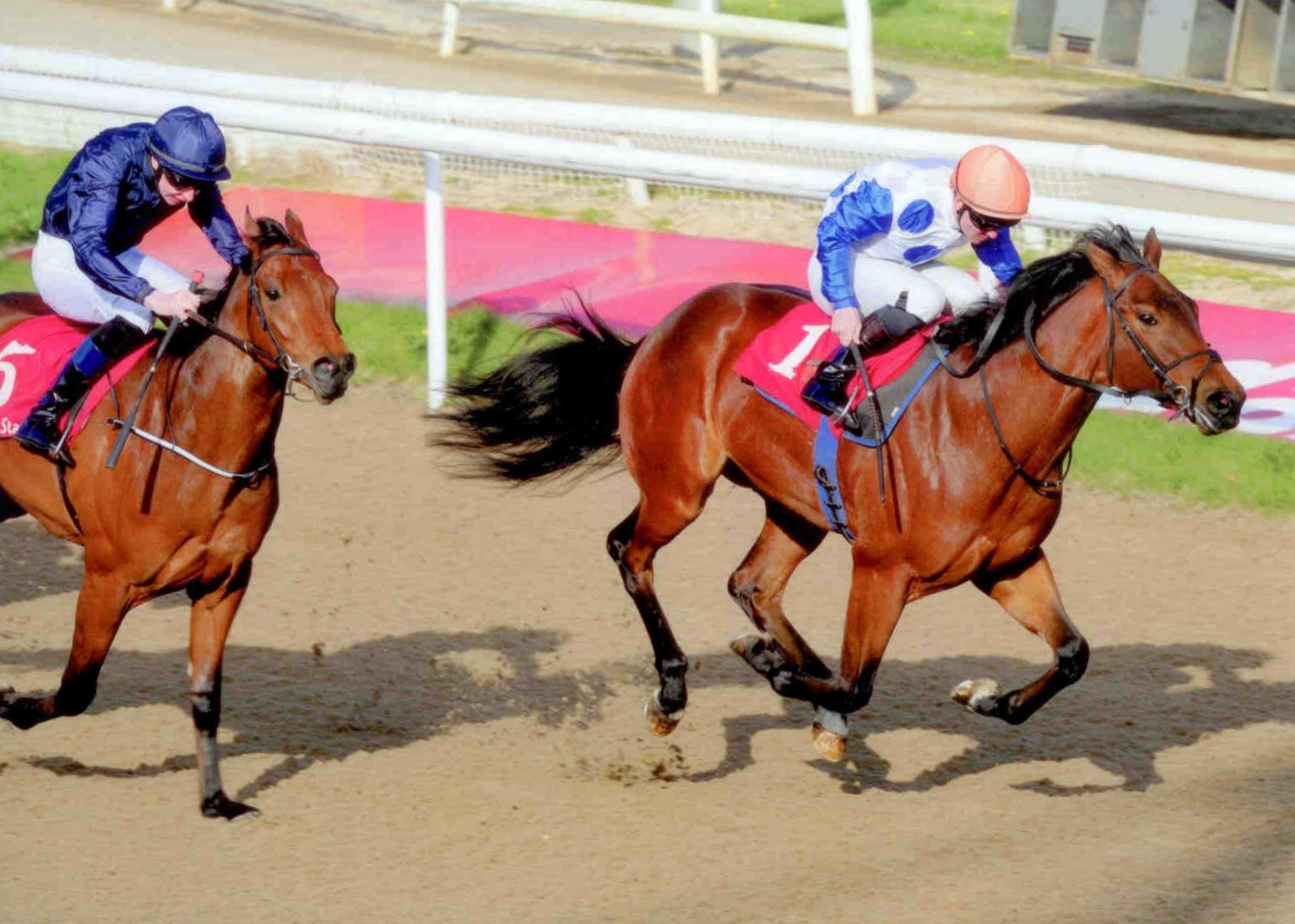 BLOOD MOON provides us with our first 2yo winner of 2015 at Dundalk on Friday 17th April